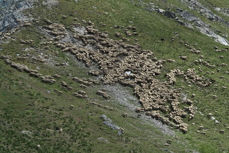 2013-08-14.16-escalade-queyras, 03-un-an-deja-escalade-aventure-2013-08-16-05