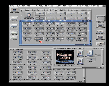 Amiga CF 8Go, 336405