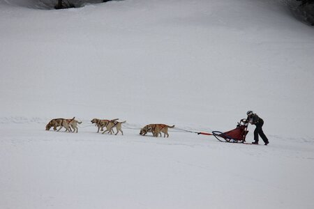 Course de chiens de traineau La Pesse 2013, IMG_1840  Copier 