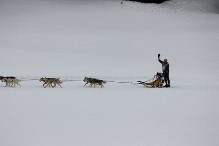 Course de chiens de traineau La Pesse 2013, IMG_1887  Copier 