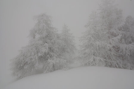 2013-03-23.28-ski-rochebrune, 02-ski-montgenevre-mautino-escalade-aventure-2013-03-24-04