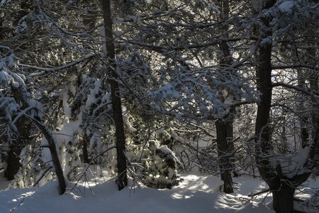 2013-03-17.22-ski-queyras-briançonnais, 04-ski-crete-testas-escalade-aventure-2013-03-19-02