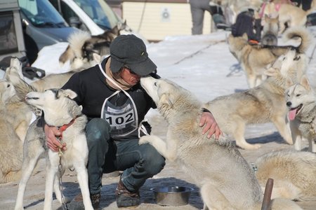 La Pesse 2015 Course de chiens de traineau (part1/2), IMG_4193
