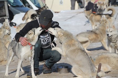 La Pesse 2015 Course de chiens de traineau (part1/2), IMG_4195