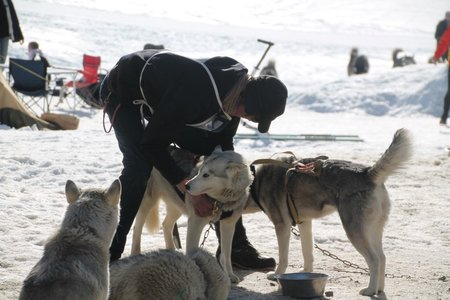La Pesse 2015 Course de chiens de traineau (part1/2), IMG_4198