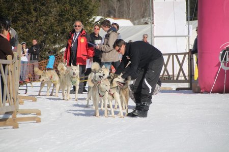 La Pesse 2015 Course de chiens de traineau (part1/2), IMG_4200