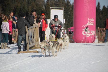 La Pesse 2015 Course de chiens de traineau (part1/2), IMG_4201