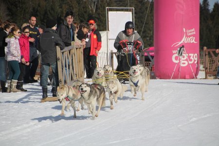 La Pesse 2015 Course de chiens de traineau (part1/2), IMG_4202