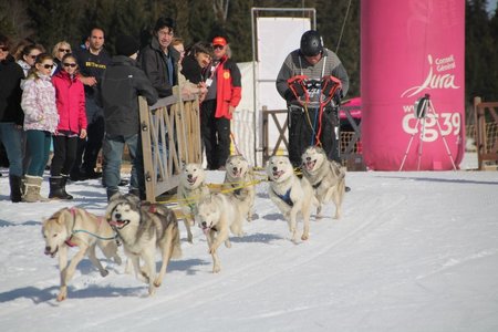 La Pesse 2015 Course de chiens de traineau (part1/2), IMG_4203