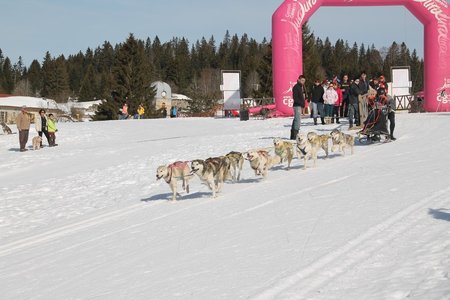 La Pesse 2015 Course de chiens de traineau (part1/2), IMG_4204