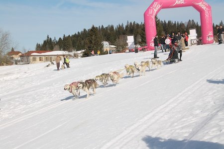 La Pesse 2015 Course de chiens de traineau (part1/2), IMG_4205