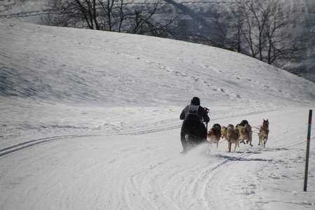 La Pesse 2015 Course de chiens de traineau (part1/2), IMG_4213