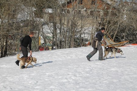 La Pesse 2015 Course de chiens de traineau (part1/2), IMG_4215