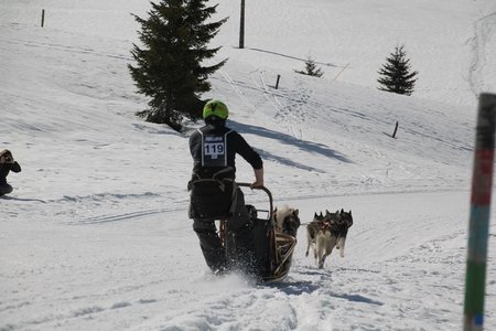 La Pesse 2015 Course de chiens de traineau (part1/2), IMG_4233