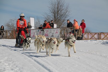 La Pesse 2015 Course de chiens de traineau (part1/2), IMG_4252