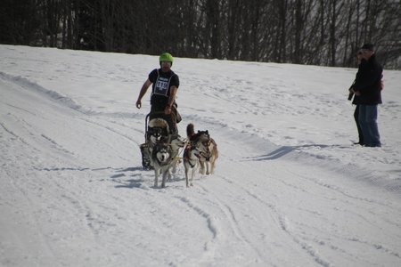 La Pesse 2015 Course de chiens de traineau (part1/2), IMG_4321