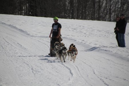 La Pesse 2015 Course de chiens de traineau (part1/2), IMG_4323