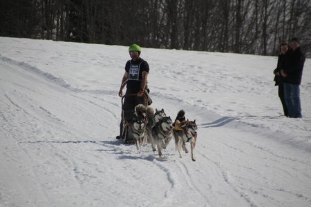 La Pesse 2015 Course de chiens de traineau (part1/2), IMG_4324