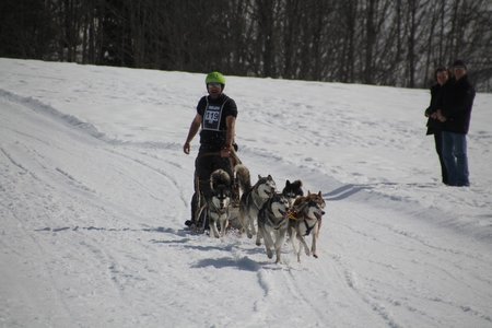 La Pesse 2015 Course de chiens de traineau (part1/2), IMG_4325