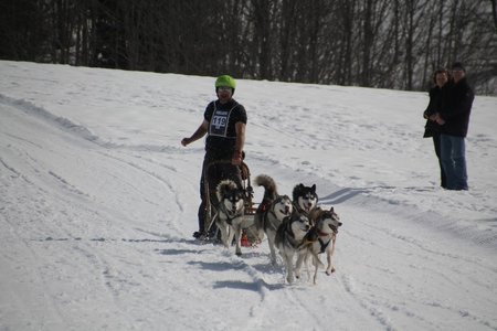 La Pesse 2015 Course de chiens de traineau (part1/2), IMG_4326