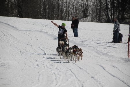 La Pesse 2015 Course de chiens de traineau (part1/2), IMG_4329