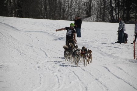La Pesse 2015 Course de chiens de traineau (part1/2), IMG_4330