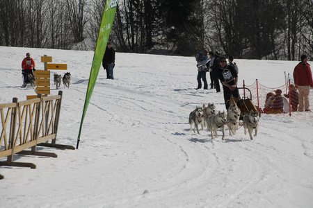 La Pesse 2015 Course de chiens de traineau (part1/2), IMG_4371