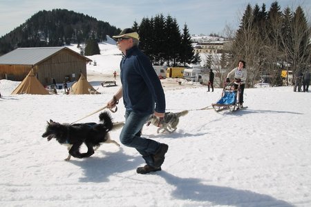 La Pesse 2015 Course de chiens de traineau (part1/2), IMG_4382