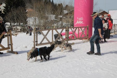 La Pesse 2015 Course de chiens de traineau (part1/2), IMG_4386