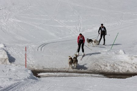 La Pesse 2015 Course de chiens de traineau (part1/2), IMG_5683