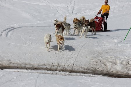 La Pesse 2015 Course de chiens de traineau (part1/2), IMG_5696