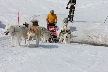 La Pesse 2015 Course de chiens de traineau (part1/2), IMG_5699