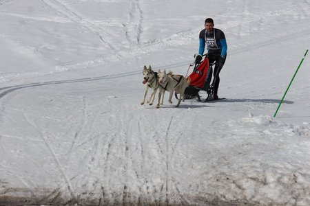La Pesse 2015 Course de chiens de traineau (part1/2), IMG_5741