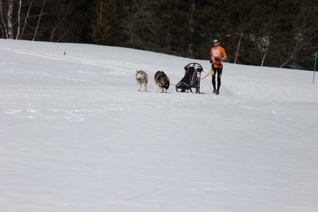 La Pesse 2015 Course de chiens de traineau (part1/2), IMG_5746