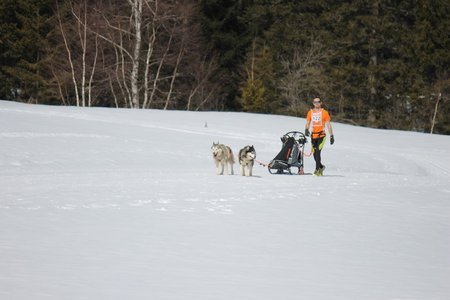 La Pesse 2015 Course de chiens de traineau (part1/2), IMG_5747