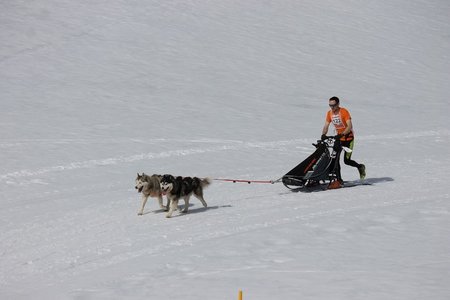 La Pesse 2015 Course de chiens de traineau (part1/2), IMG_5751