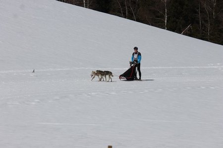 La Pesse 2015 Course de chiens de traineau (part1/2), IMG_5761