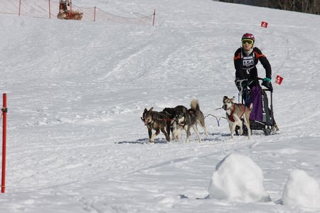La Pesse 2015 Course de chiens de traineau (part1/2), IMG_5817