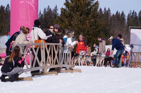 La Pesse 2015 Course de chiens de traineau ( part 2/2 ), DSC08251