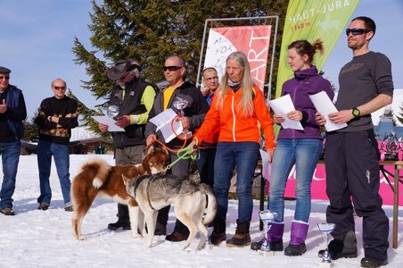 La Pesse 2015 Course de chiens de traineau ( part 2/2 ), DSC08407