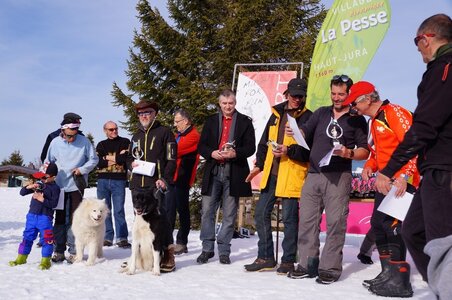 La Pesse 2015 Course de chiens de traineau ( part 2/2 ), DSC08416