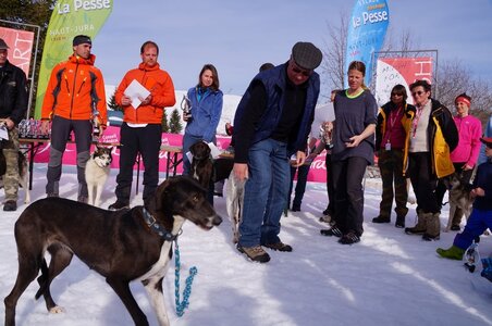 La Pesse 2015 Course de chiens de traineau ( part 2/2 ), DSC08433