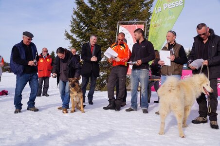 La Pesse 2015 Course de chiens de traineau ( part 2/2 ), DSC08446