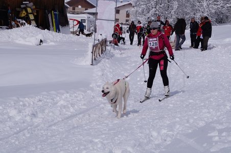 La Pesse 2016 course de chiens de taineau, DSC09304  Copier 