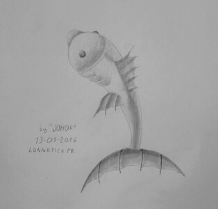 Dessins Poissons, Poisson_Nageoirs_Pointes_dss_1_tof_1a