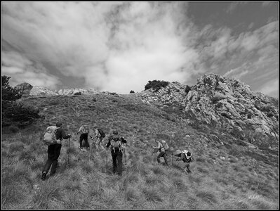 Montagne d'Aujour - Randonnée du 25 avril 2017, P4250022  Copier 