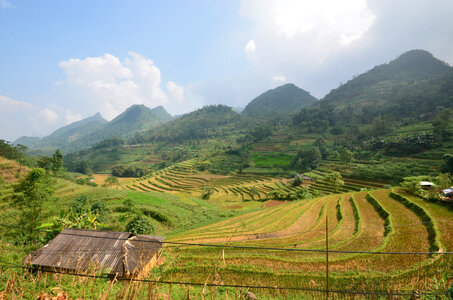 Vietnam, riziere6m