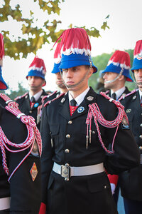 Carabiniers Fête Nationale 2018, Carabiniers F.N  233 