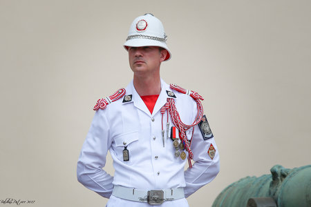 Carabiniers Relève de la Garde du 21 juin 2017, Relève 21juin2017  17 