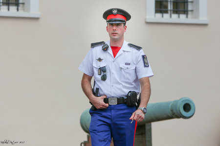 Carabiniers Relève de la Garde du 21 juin 2017, Relève 21juin2017  29 